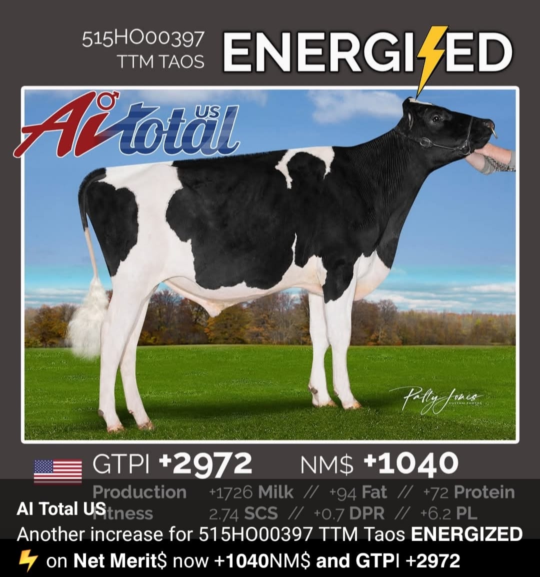 ENERGIZED — 515HO00397